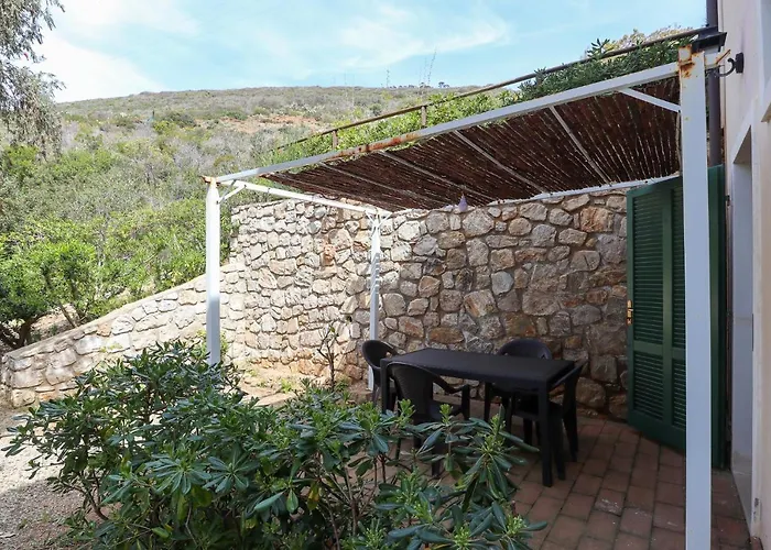 Moira * Каполивери