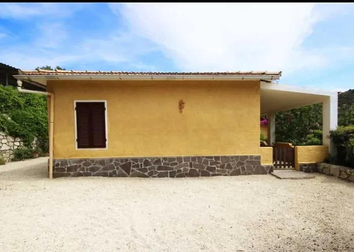 Moira Capoliveri (Isola d'Elba)