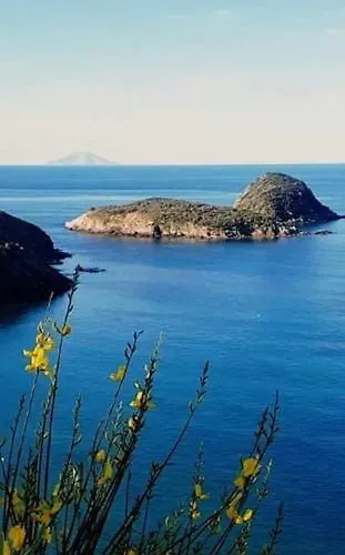 Moira Сasa de vacaciones